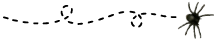Spinne