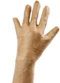 Hand aus Pappmaché