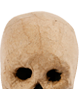 Totenkopf aus Pappmaché