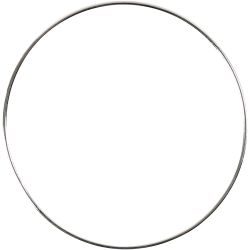Ring aus Metalldraht