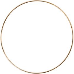 Ring aus Metalldraht