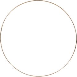 Ring aus Metalldraht