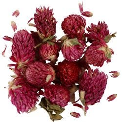 Trockenblumen