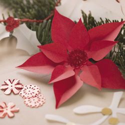 Packung mit Motiven zum Ausschneiden