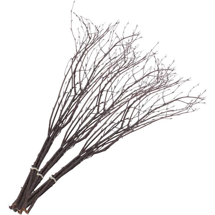 Birkenzweige, 50-60 cm, 20Stk/ 1 Pck