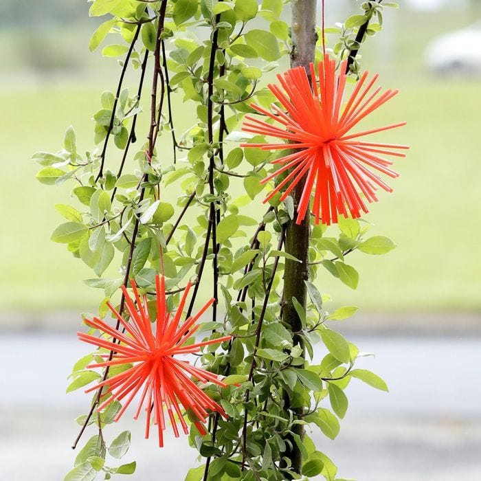 Pompons aus Plastik-Strohhalmen