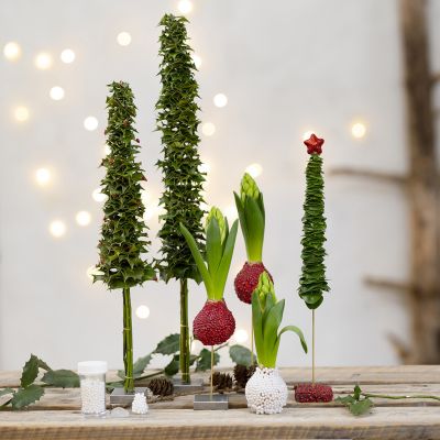 Weihnachtsbäume und Deko aus echten Pflanzen