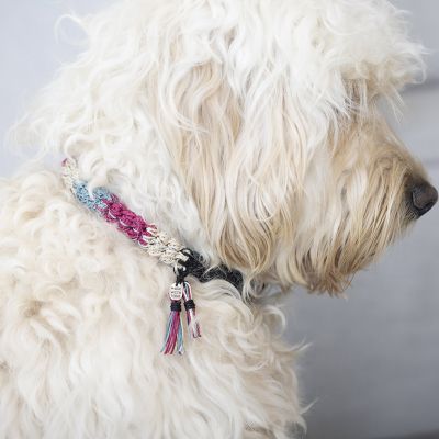 Gehäkeltes Hundehalsband