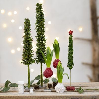 Weihnachtsbäume und Deko aus echten Pflanzen
