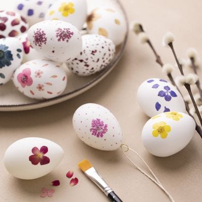 Eier