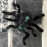 Halloween-Deko: Spinne aus einem Schädel und Pfeifenreinigern