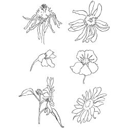 Silikonstempel, Sommer, Blatt 11x15,5 cm, 1 Bl.