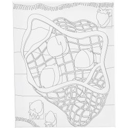 Mal-Leinwand mit Aufdruck, Zitrusfr&uuml;chte , T 1,6 cm, Gr&ouml;&szlig;e 24x30 cm, 360 g, 1 Stk