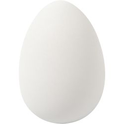 Eier
