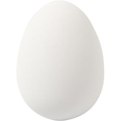 Eier