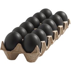 Eier