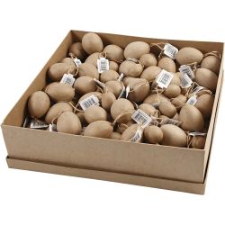 Eier