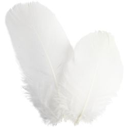 G&auml;nsefedern, rund, L 5-8 cm, ca. 70 Stk, Wei&szlig;, 3 g/ 1 Pck