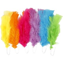 Federn, Gr&ouml;&szlig;e 11-17 cm, Sortierte Farben, 18 B&uuml;ndl./ 1 Pck