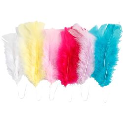 Federn, Gr&ouml;&szlig;e 11-17 cm, Sortierte Farben, 18 B&uuml;ndl./ 1 Pck