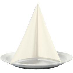 Servietten, Gr&ouml;&szlig;e 40x40 cm, 60 g, Naturwei&szlig;, 20 Stk/ 1 Pck