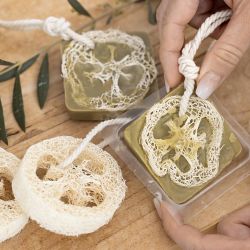 Natürlicher Luffa-Schwamm