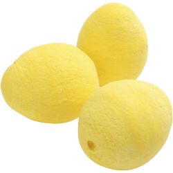 Eier