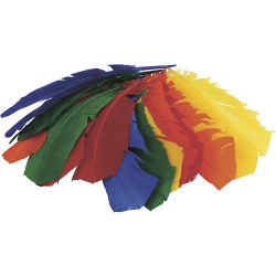 Gr&ouml;&szlig;e 28-35 cm, 50 Stk/ 1 Pck